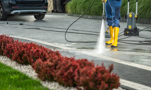 Best Roof Pressure Washing  in Connerton, FL